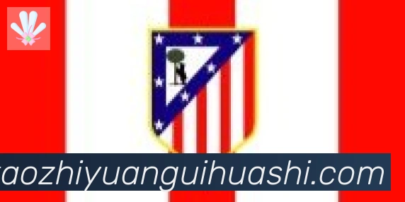 开云kaiyun官方网页版合作伙伴