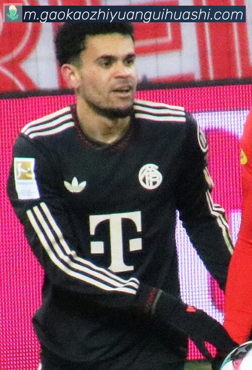 阿什拉夫·哈基米